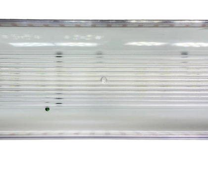 Acil Aydınlatma Armatürü-Z IP 55 Koruma-20F LED